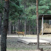 bd2da0f0655b84bb46401eac694d6c8b