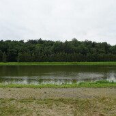 c0ec4d7a2376718876847578c8f22d2e