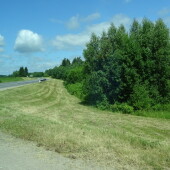 c118319fec24f80e56cb2abf1e70cc81