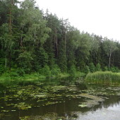 c11dc4867cdf590161ab0f972d637252