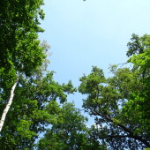 c1224ad4b9b75489ec97515924918a55