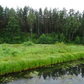 c35054890bc5842ea939864d6950b656