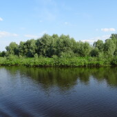 c42da67369421bacaa966d1e0599027b