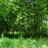 c44802f1146fce79f4800be2f58cf5ed