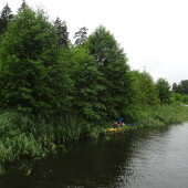 c95ea7e7cfce4f159593edba506efbc9