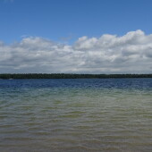 cbda8118b1a128c5ac2fe9fddfe2b955