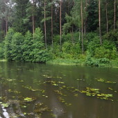 ce3b2cdbdfb6ae9b7facc36a9a86c1e0