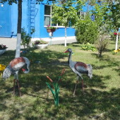 cf7b3132835e53d93f9f96e498ef58c9