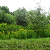 d0454e59dbb757e194248703e97e6833