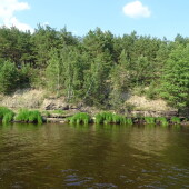 daa338370bcddd364cced64c99d537a4