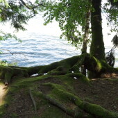 db5de0d4edb91df66f8cddf413ca9cdf