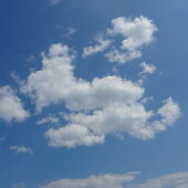 dca259393b4236ca6d33110f6f175585