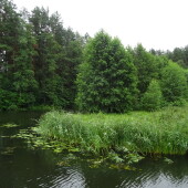 ddc285ce08e1db8c07e782e9657b71b0