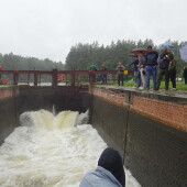 e228ec148d39310ed86f1a3ae365d8a4