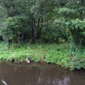 e5ccddb914d4f64388b6329c09983931