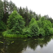 e5f96e709da2c92b4d5b962d8684257d