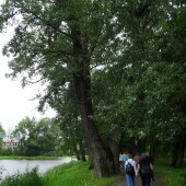 e6352b4be9909ef4c58ce75acc0b28ba