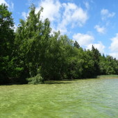 e82a090c3c2020e970f7e01a41f7a1aa