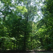 ea46f882224a73616d4d4647376e7d1c