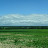 ea4de81558ff162f456b4f64597c43b7