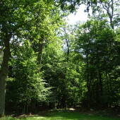 f0672a6997bed736bce4d2d379d1b41d