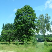 f15d4b79603b78821f2e42f36cbde2fd