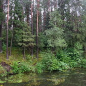 f683af402f7690088eaa1abc8465e02b