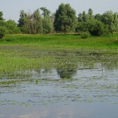 f7c9f50026a7366f98ce684ec043e6b2