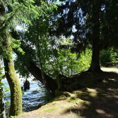 fdc8e89ea0af24e45d818984ccf604dc