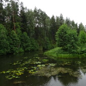 fee00b0fa850f5df1c205433c08a28c5