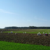 21845914468d8d6cf249191b8c12bcee