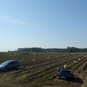 25e65e913ff84d914af0428c00cee20c