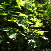 2c5f455bb96f9d1a2794037227d9dfd5