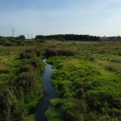 2e4bebea36bd40d9617dee0f3b0195ee