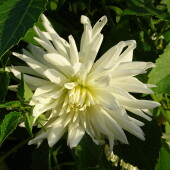 5290cb6d9891bd0c41b527e4fdb691c2