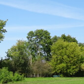 65e6df1f9a908354c9fb09eecdfcb3b5