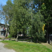 7137b9b8a507489a15856ee114b5fe6d