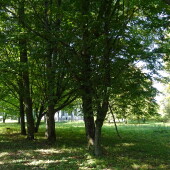 7d5945a8c237cd044315375bd8515faa