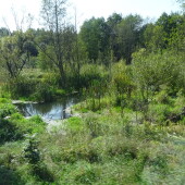 9c1c28a05966a8d6dcfdf4a7f7fd6857