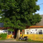 a32702128a01e8b39fc92b9f83bff4d1