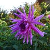 a34c1ff47c2b2cceb4a717d6a5285ad8