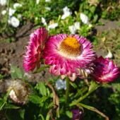 bd09440961913c0fe64119b8d1971c10