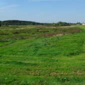 ce07d64b18d221b59246e164fe8b07de