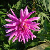 cf6b841a9d522f9152cfb0bdecb2e8f2