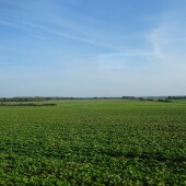 f900e1d74bafa49150c6a07b3fe8df3a