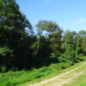 18105178acd345236f9ac2f04023f385