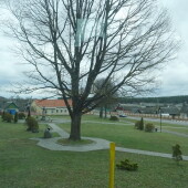 1aacd9b9a2b48b8552ee578c7e7ac370