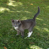 4e113896254c3fbdc7134c9ba7faa583