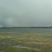 a90f571f3d2247b3d147bc95ae5564e9