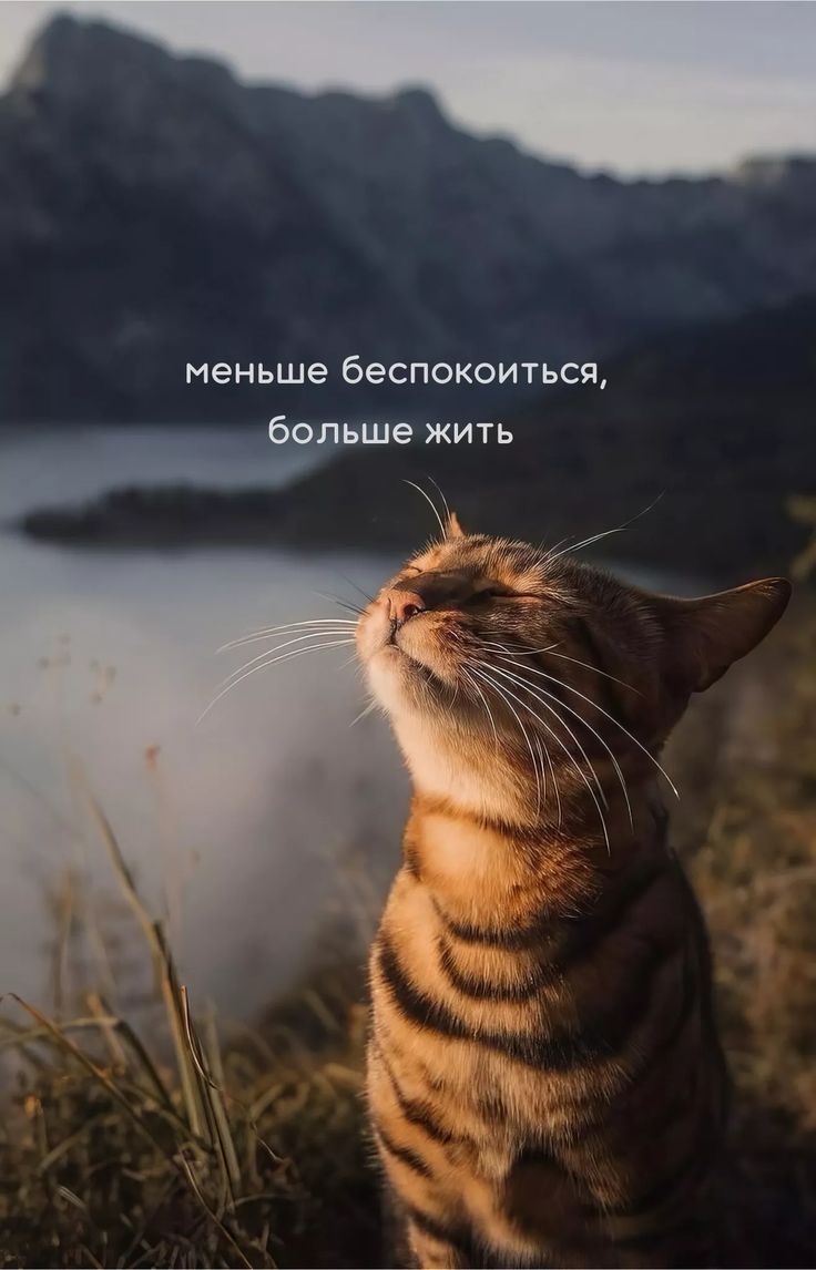 de305376461dc316ce8a823c54ec703f